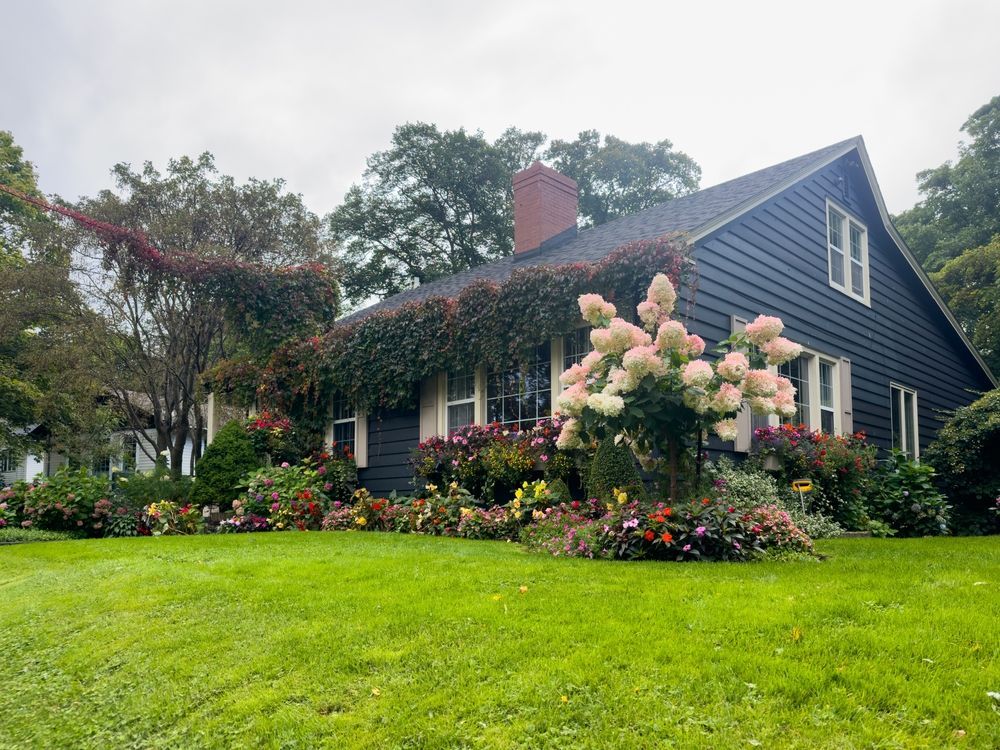 Black house with white shutters, lush garden, and climbing pink foliage.