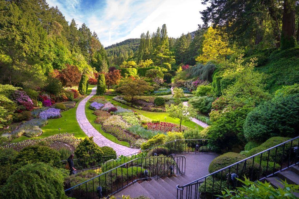 Stone paths wind through a vibrant garden filled with colorful flowers and trees.