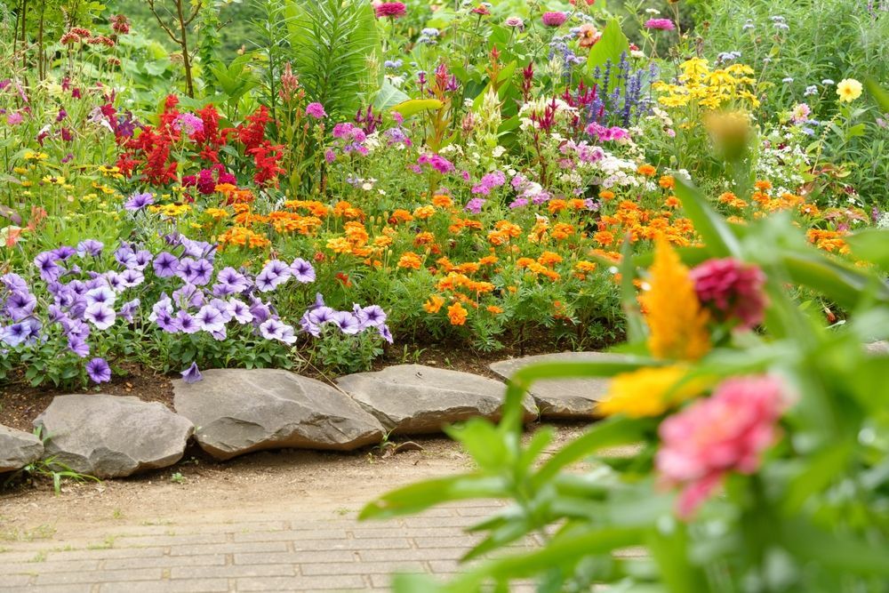 Colorful flower garden with orange, purple, red, and yellow blooms, bordered by large stones.