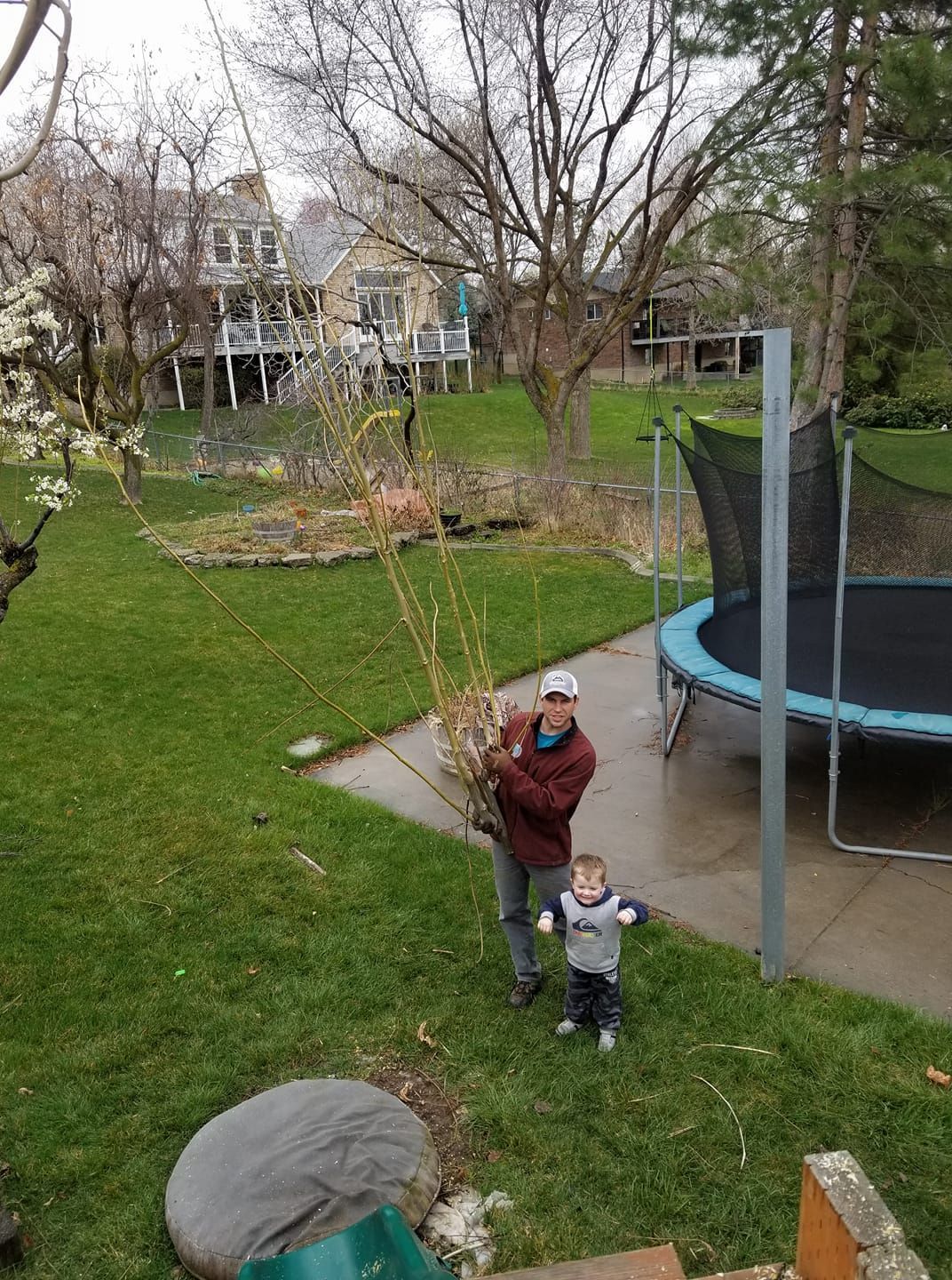 Man and small child on green lawn; man holding branches; trampoline in background.