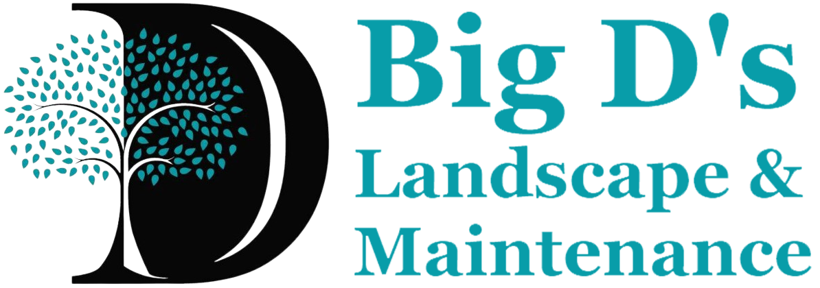 Big D's Landscape & Maintenance