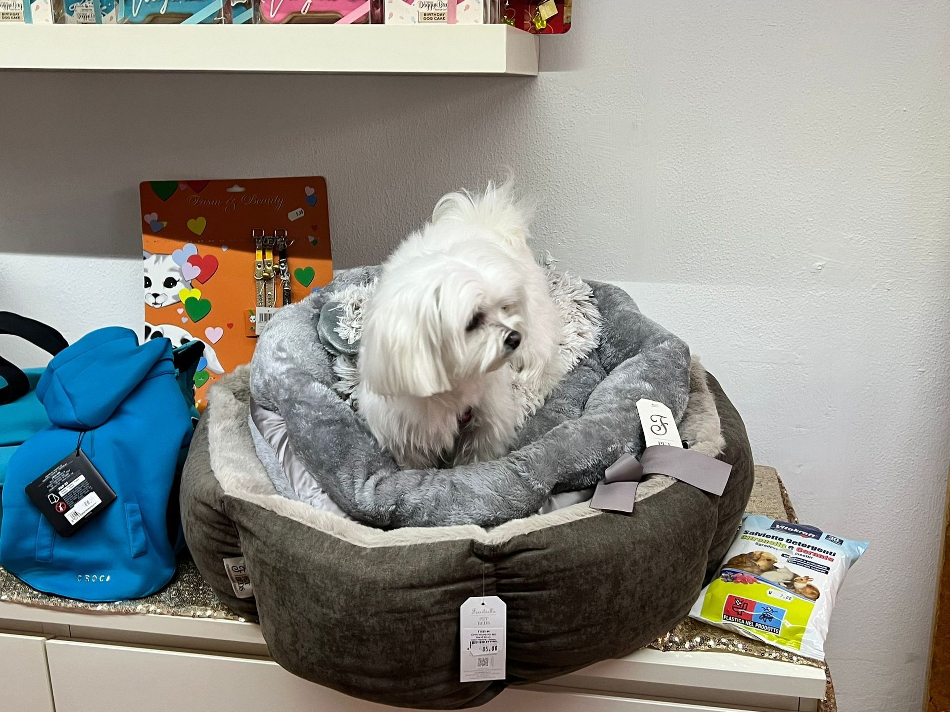 lavaggi e toelettatura