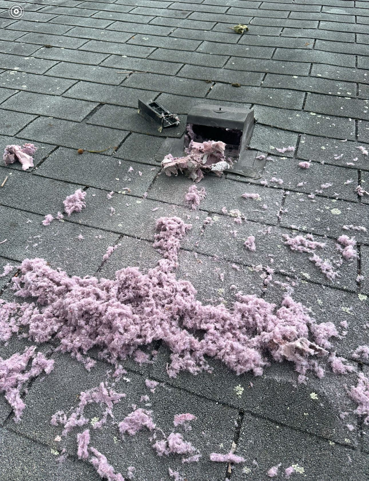 There is a lot of pink dryer lint on the floor..