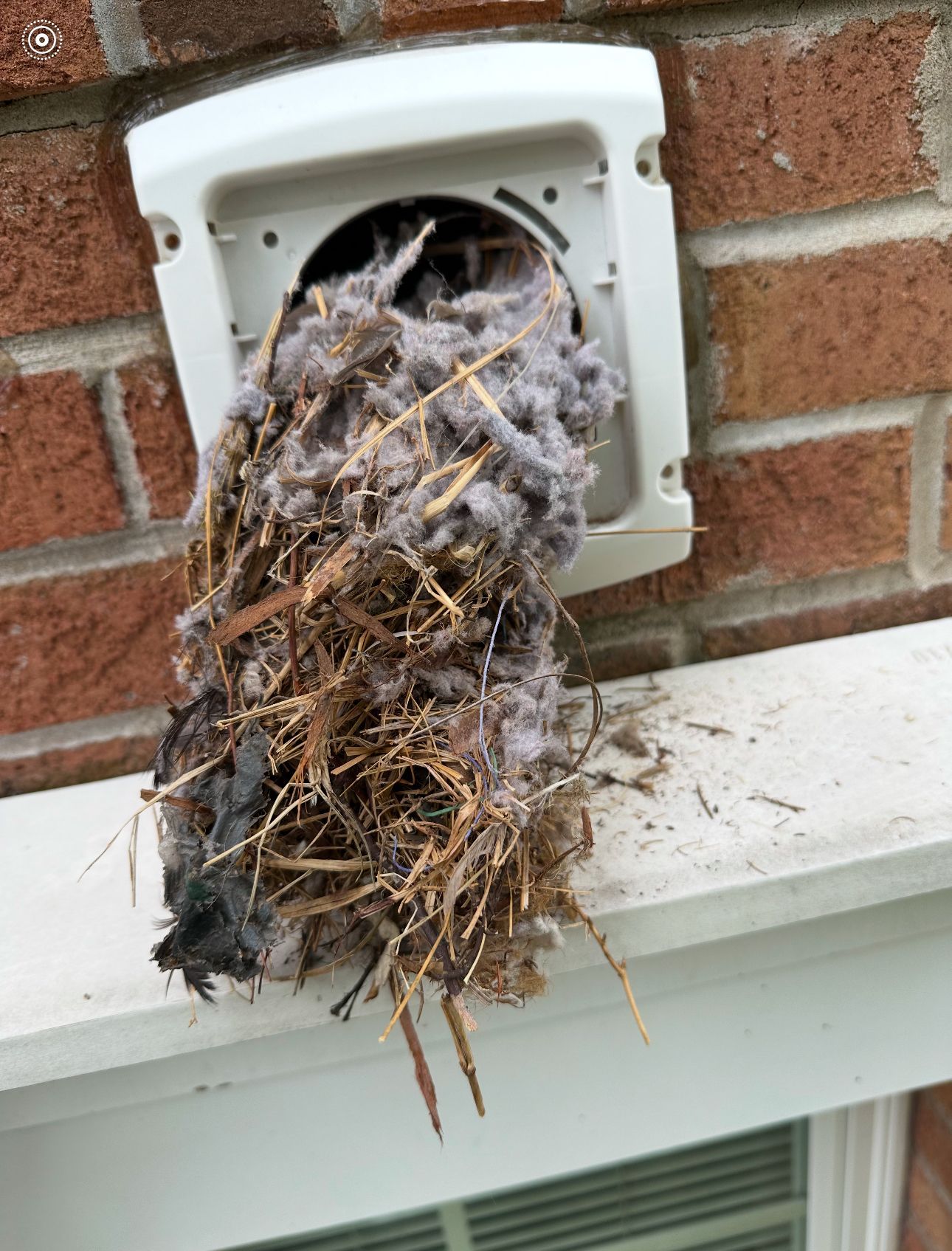 A bunch of dust is coming out of a vent on a brick wall.