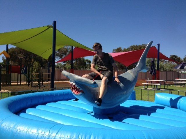 Man riding an inflatable shark ride in an outdoor playground. Blue inflatable pool, colorful sunshades, and a clear blue sky.