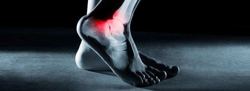 DR. HORACIO HOYOS NÁJERA