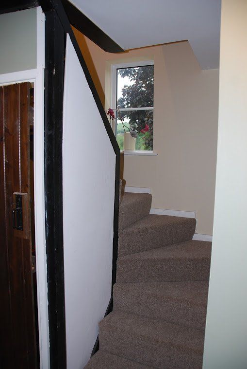 staircase with brown carpet