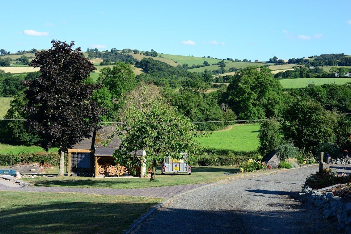 view with green trees