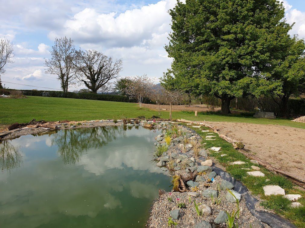 house with a pond angle 2