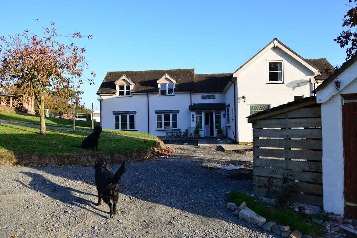 cottage with two dogs