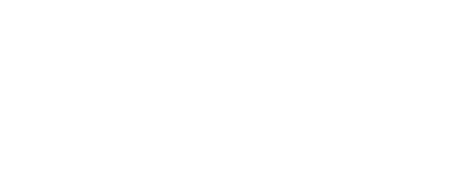 Fulton Swim School Logo