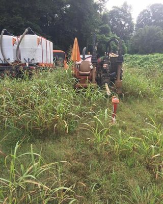 tractor clearing overgrown plants
