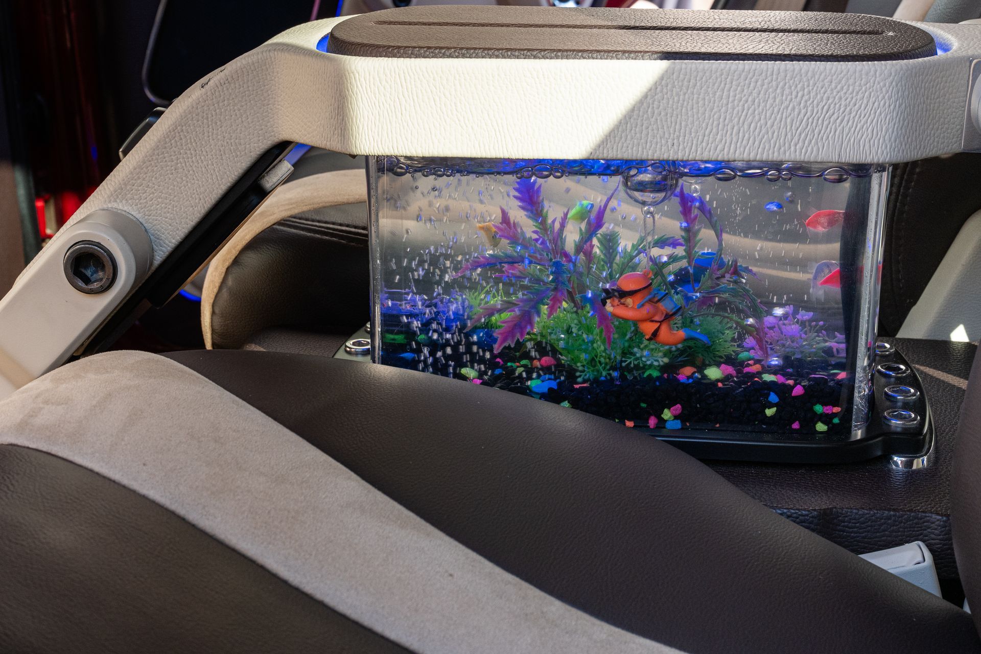Small fish tank with colorful decorations inside a vehicle.