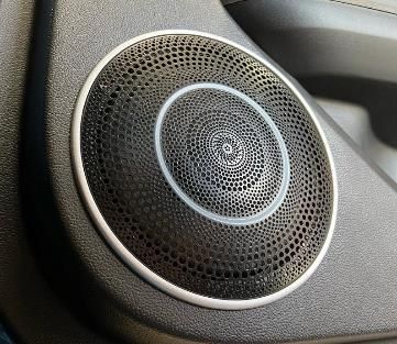 A close up of a speaker on a car door.