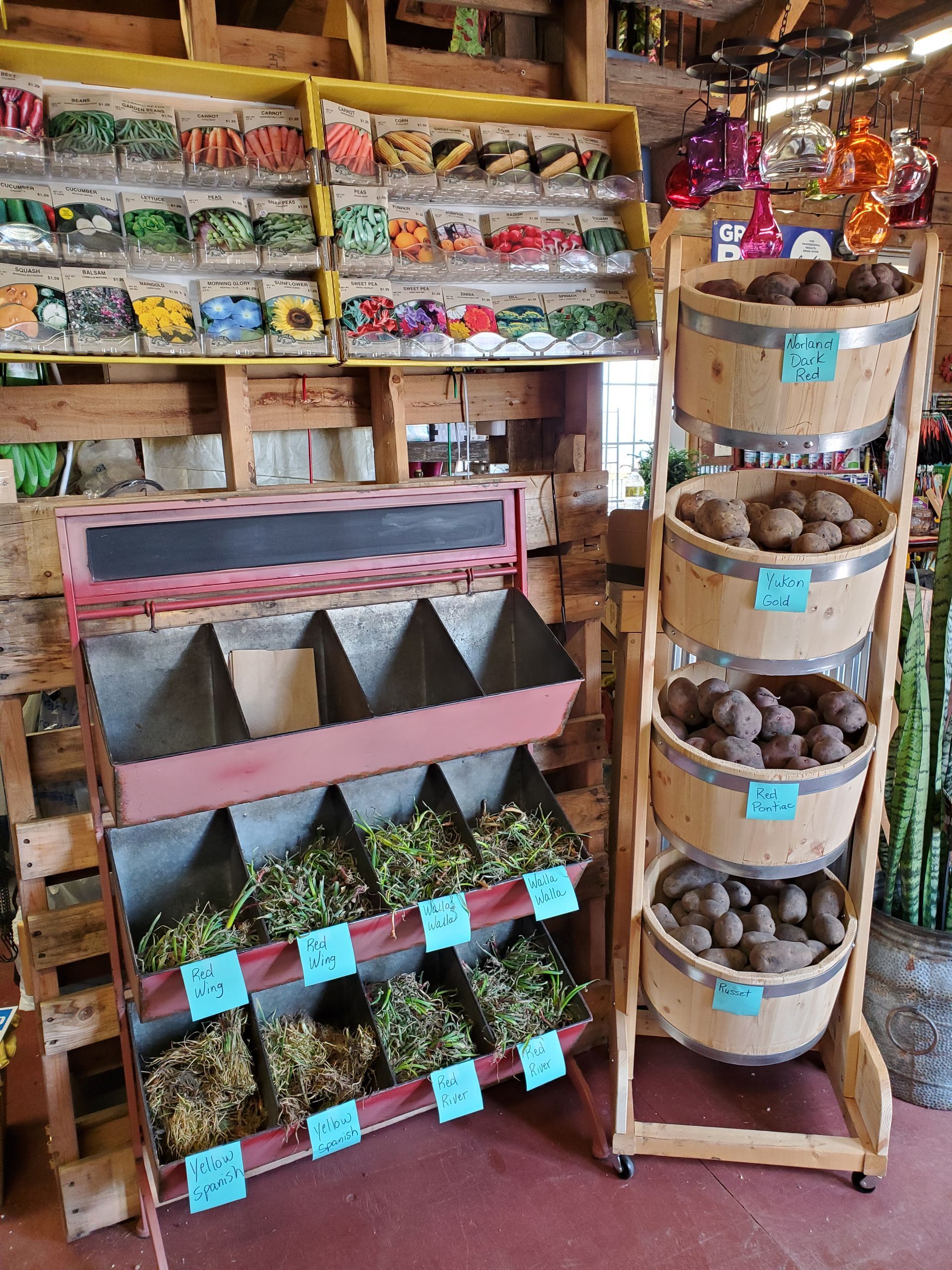 Wooden shelves displaying seed packets, potatoes, and vegetables in a store.