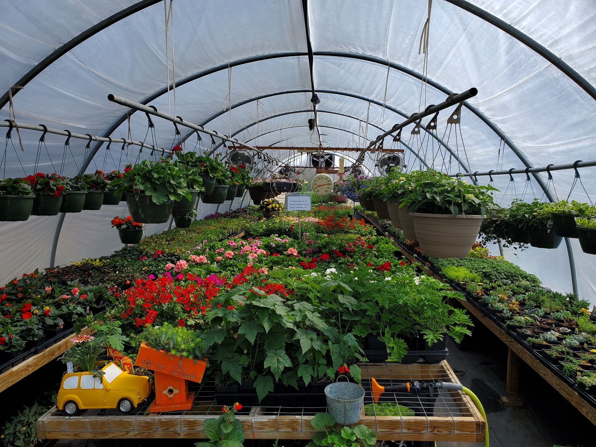 Garden center with various potted plants and a wheelbarrow under a wooden awning.