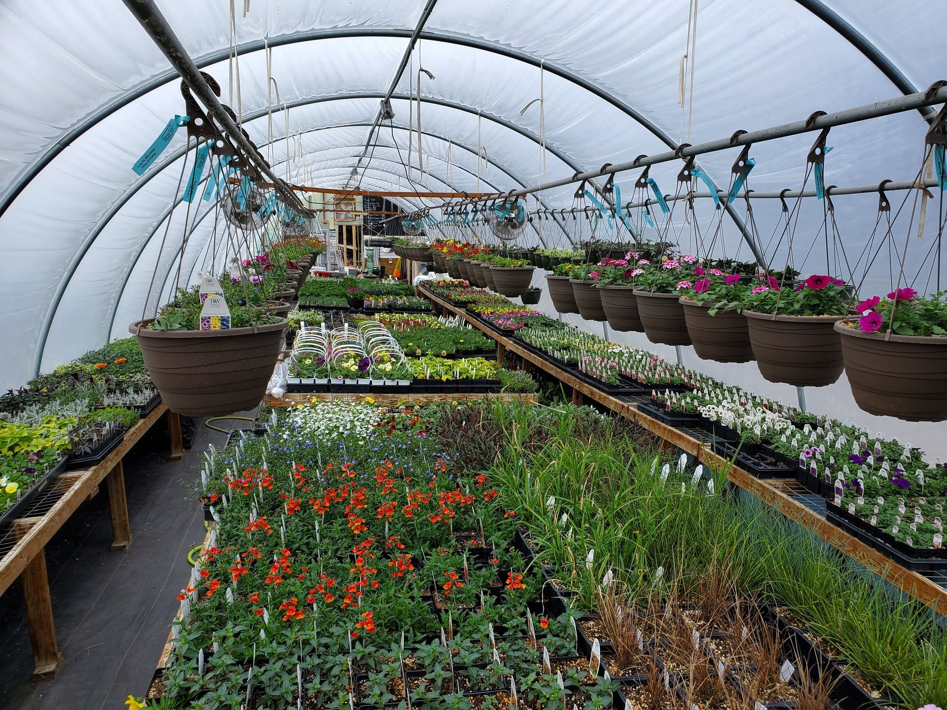 Garden center with various potted plants and a wheelbarrow under a wooden awning.