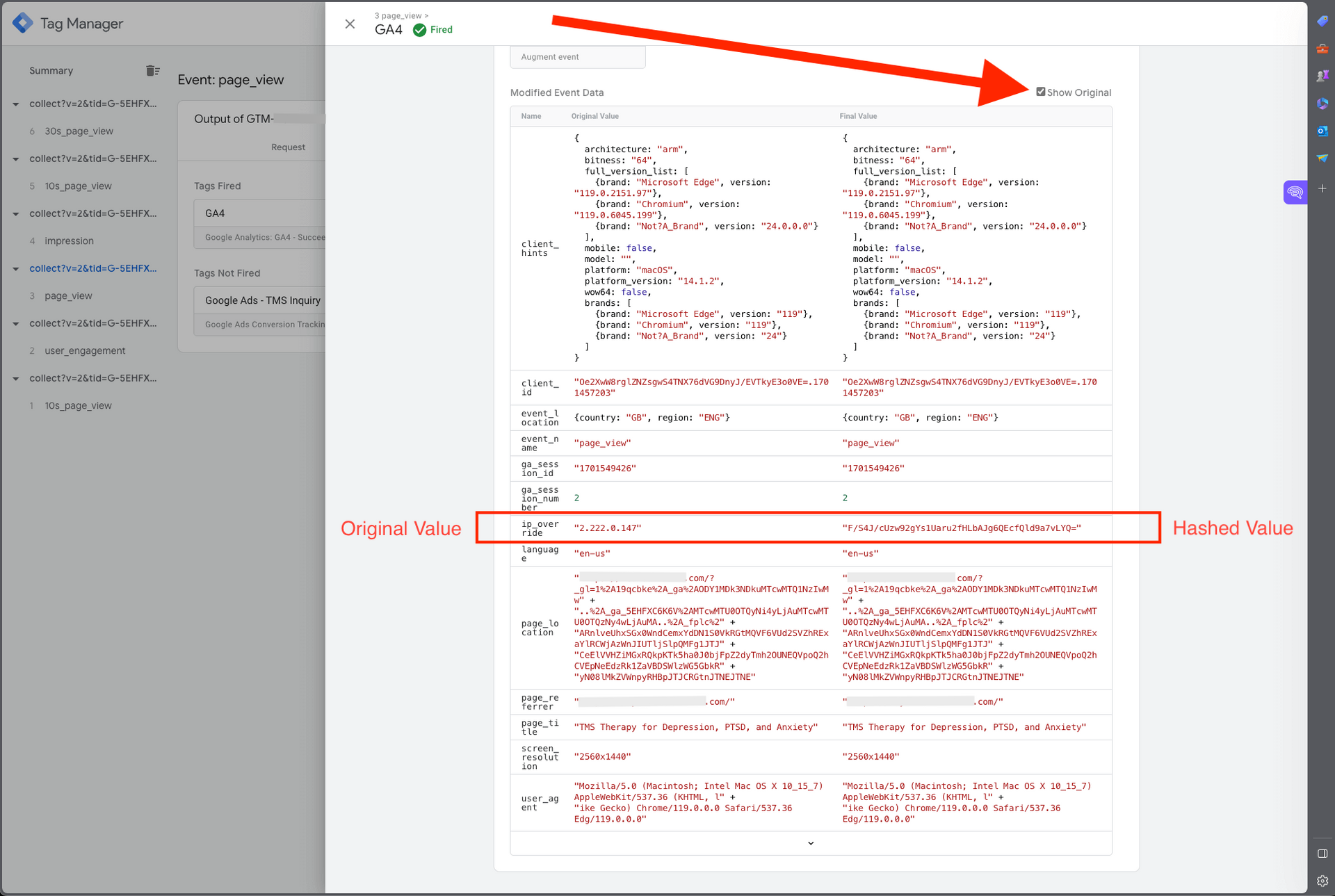 Screenshot of Google Tag Manager showing preview mode details.