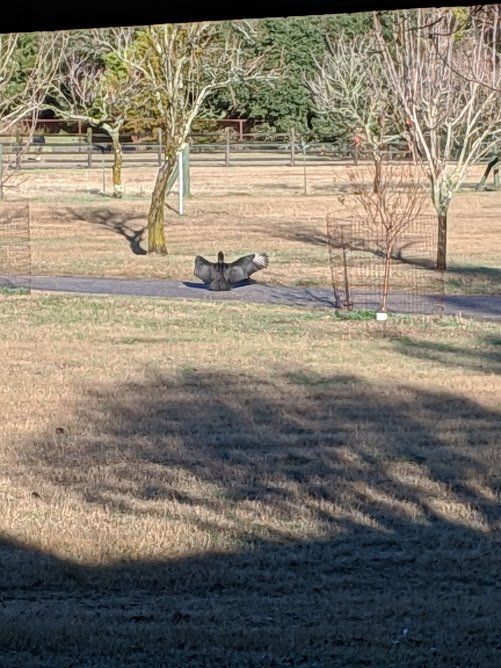 A person is sitting on a bench in a park.
