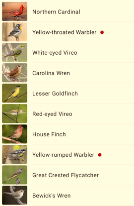 List of ten bird species with photos, including cardinal, warblers, wren, vireo, goldfinch and flycatcher.