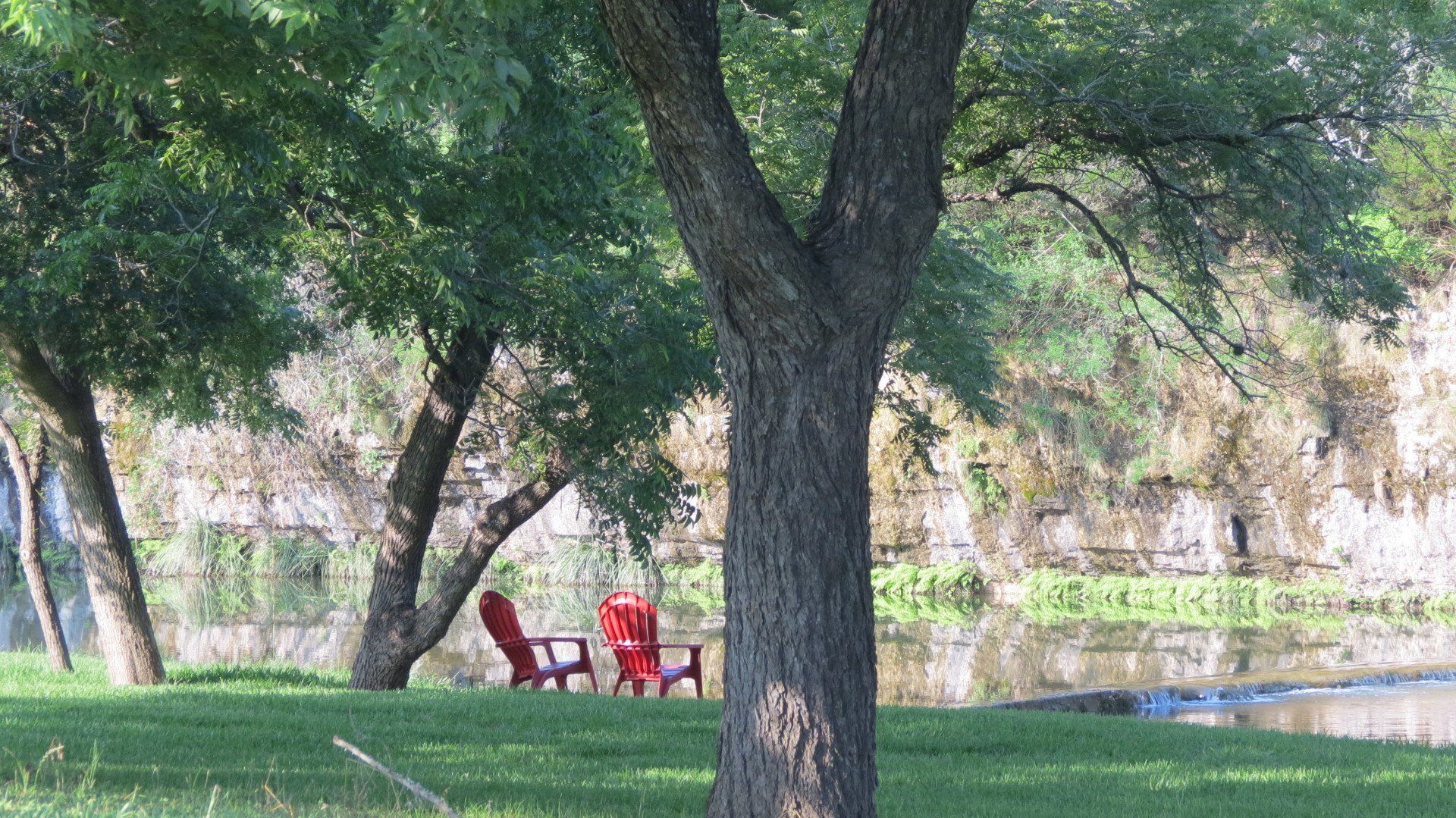 Two red chairs are sitting under a tree near a river.