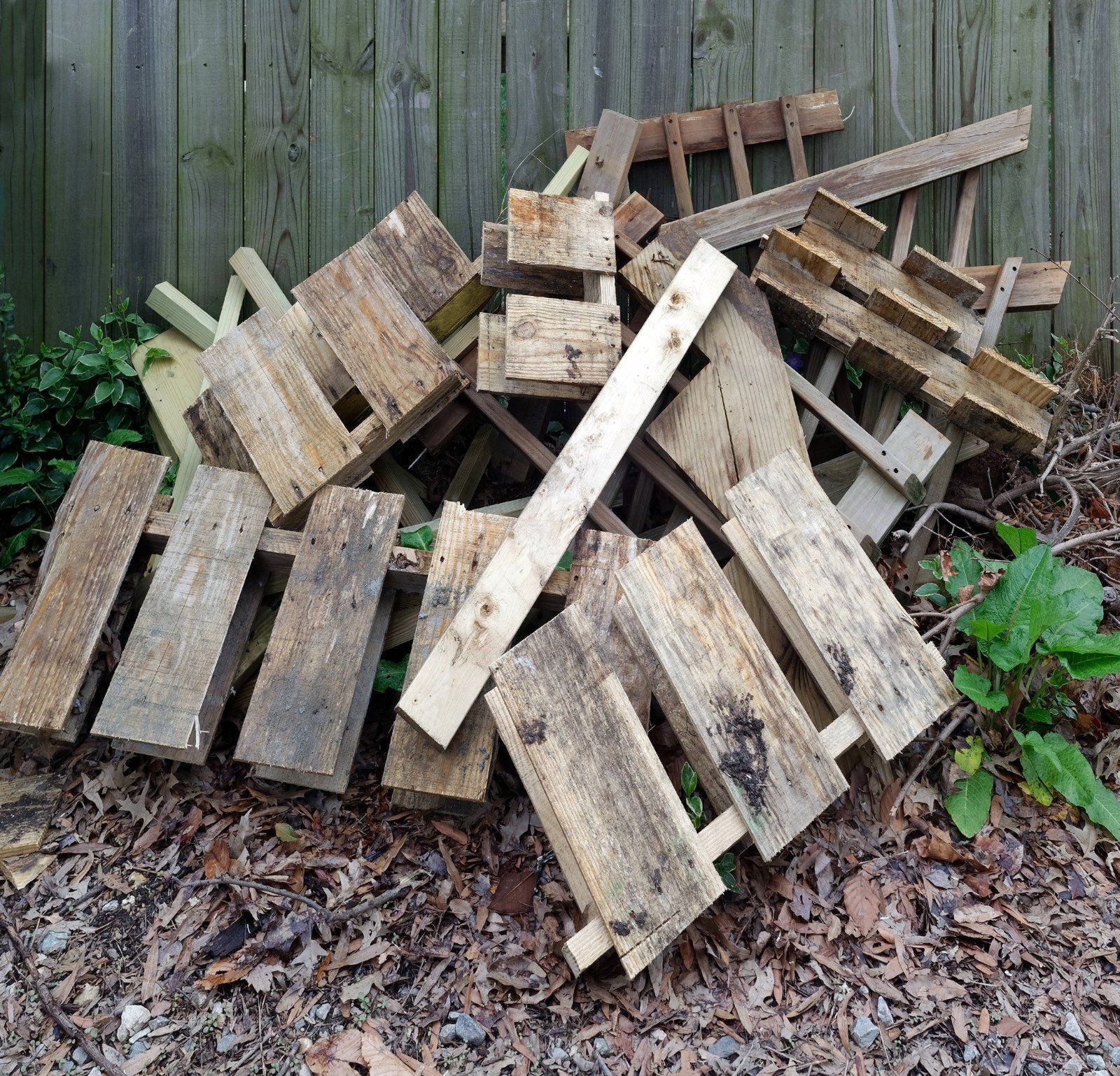 Pile of weathered wooden pallet boards, against a wooden fence, on a bed of dry leaves.