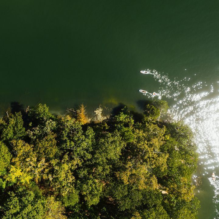 Luxury Travel Services in Gallatin, TN