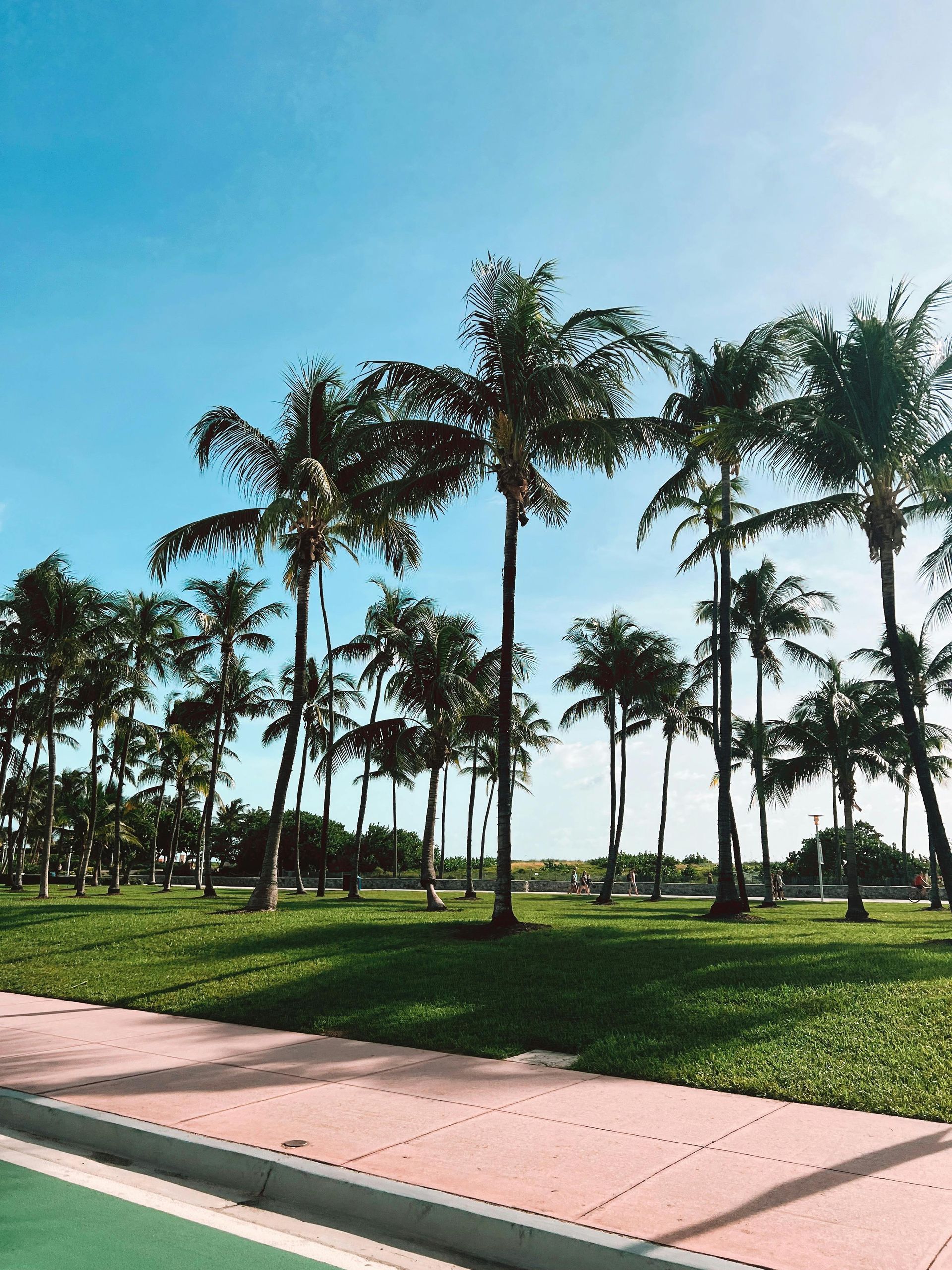 A park scene with a pink-tiled sidewalk, green lawn, and tall palm trees under a bright blue sky.