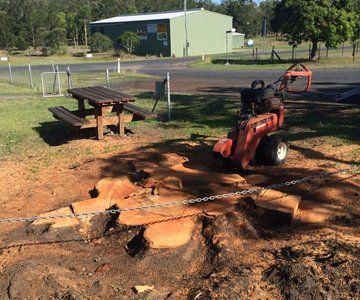 Stump Removal — CQ Trees in Rockhampton, QLD
