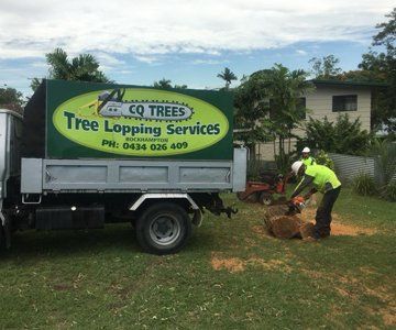 Vehicle with Two Workers — CQ Trees in Rockhampton, QLD