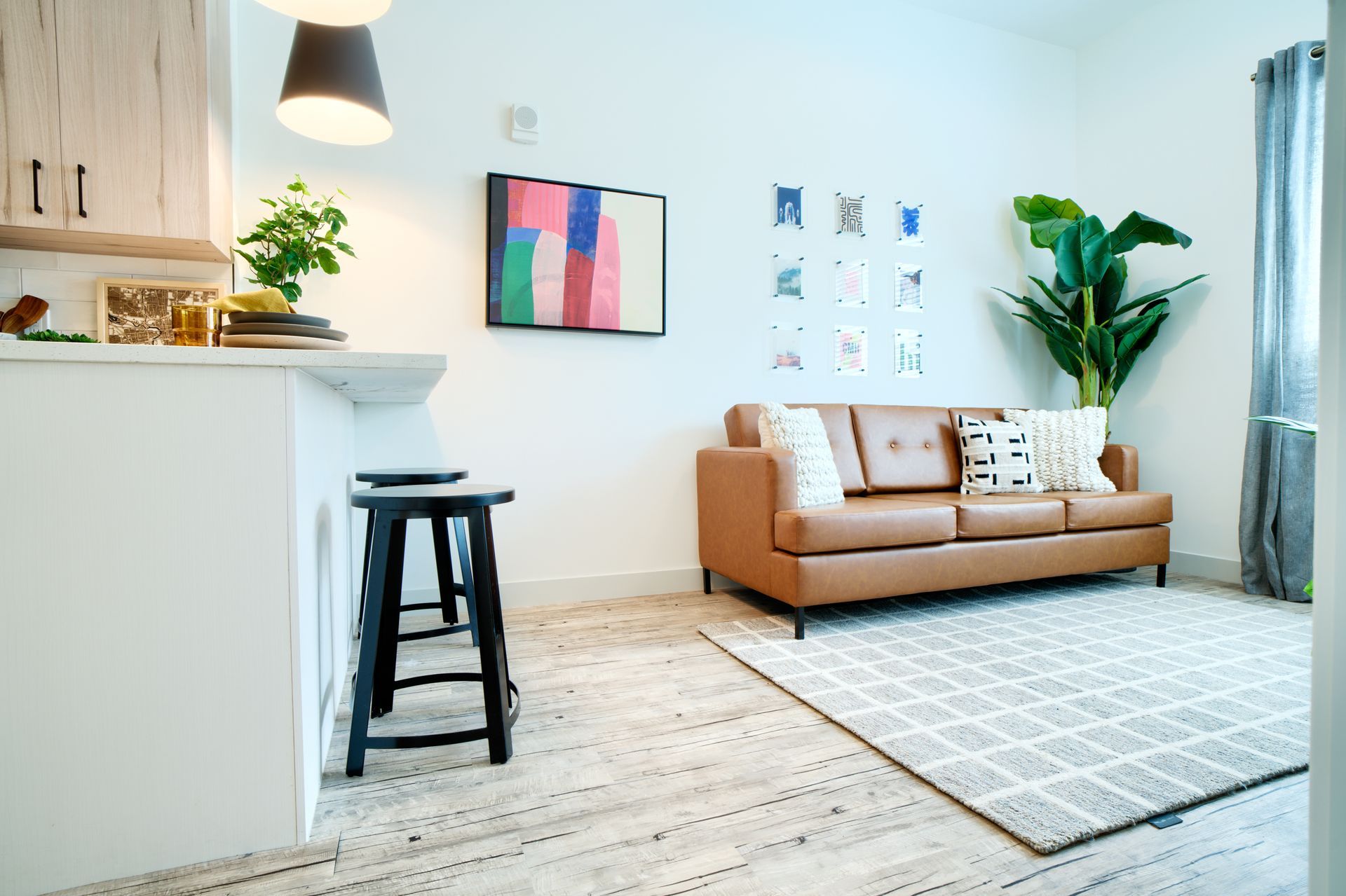 A living room with a brown couch and a white rug.