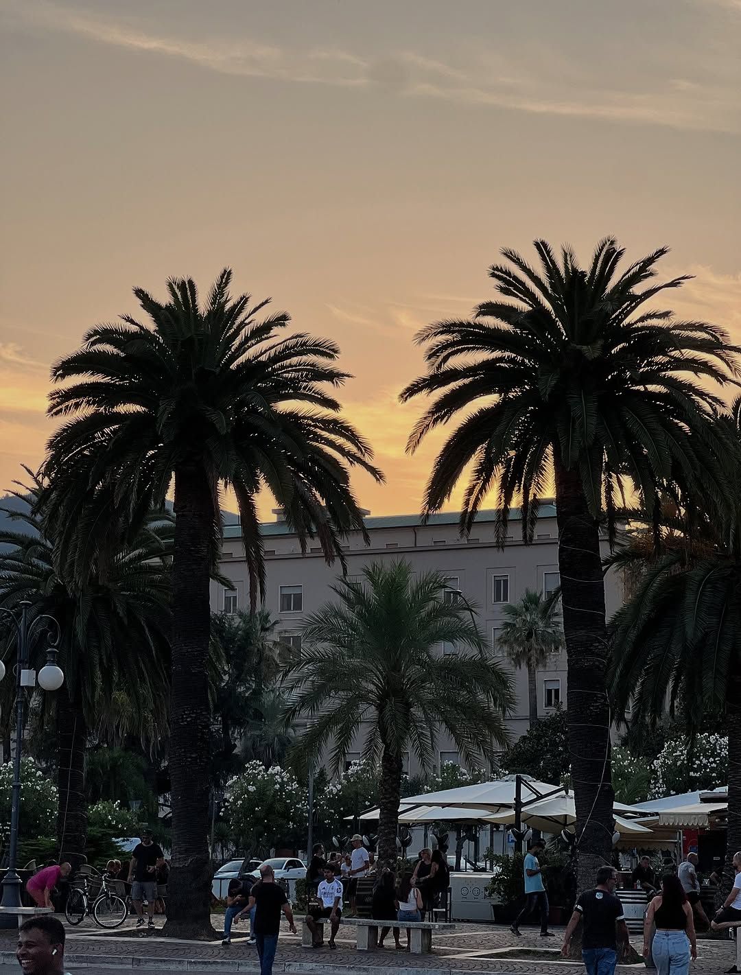 Palme che si stagliano contro un tramonto arancione, con un edificio e delle persone sullo sfondo.