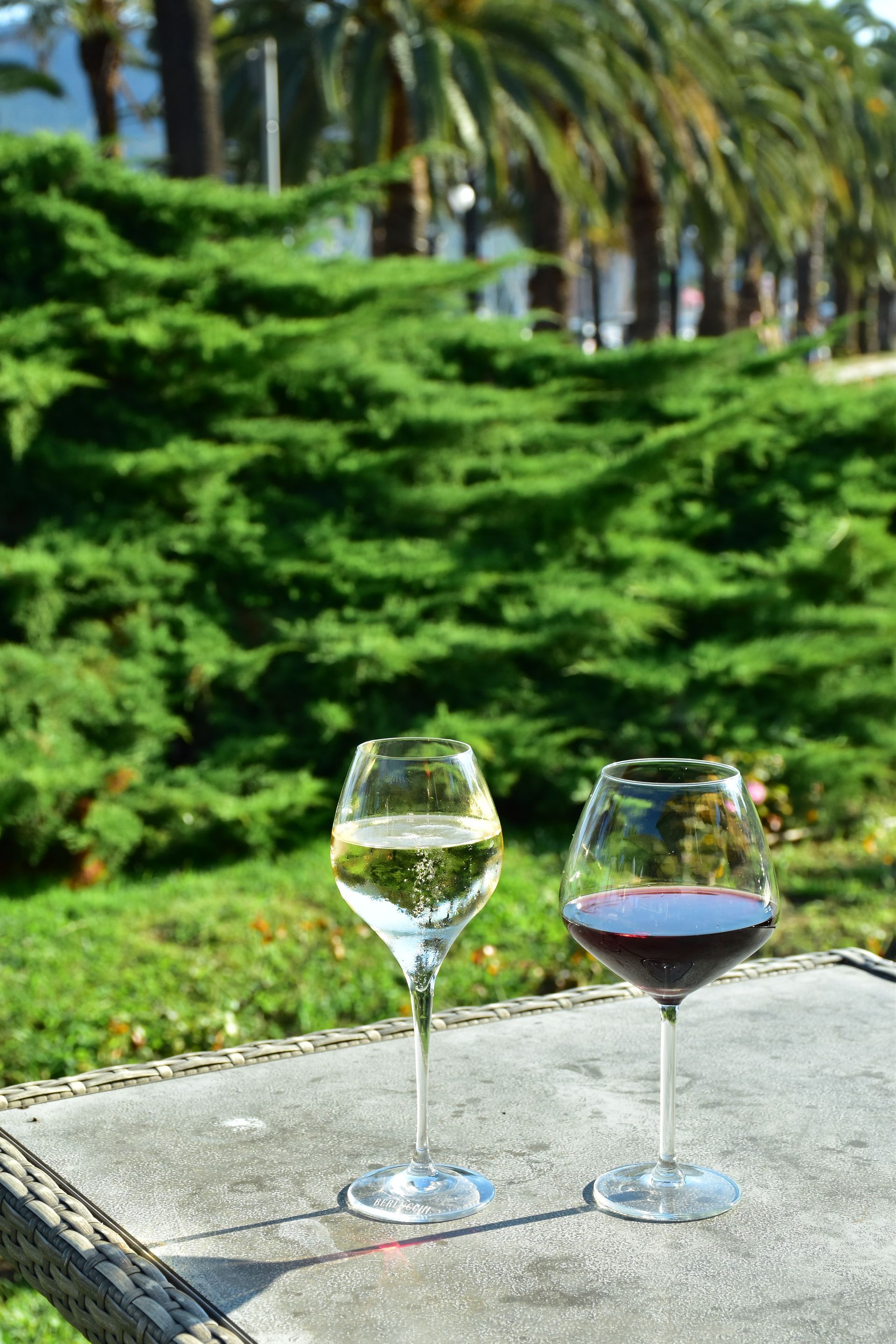 Due bicchieri di vino bianco e rosso, su un tavolo all'aperto con fogliame verde e palme sullo sfondo.
