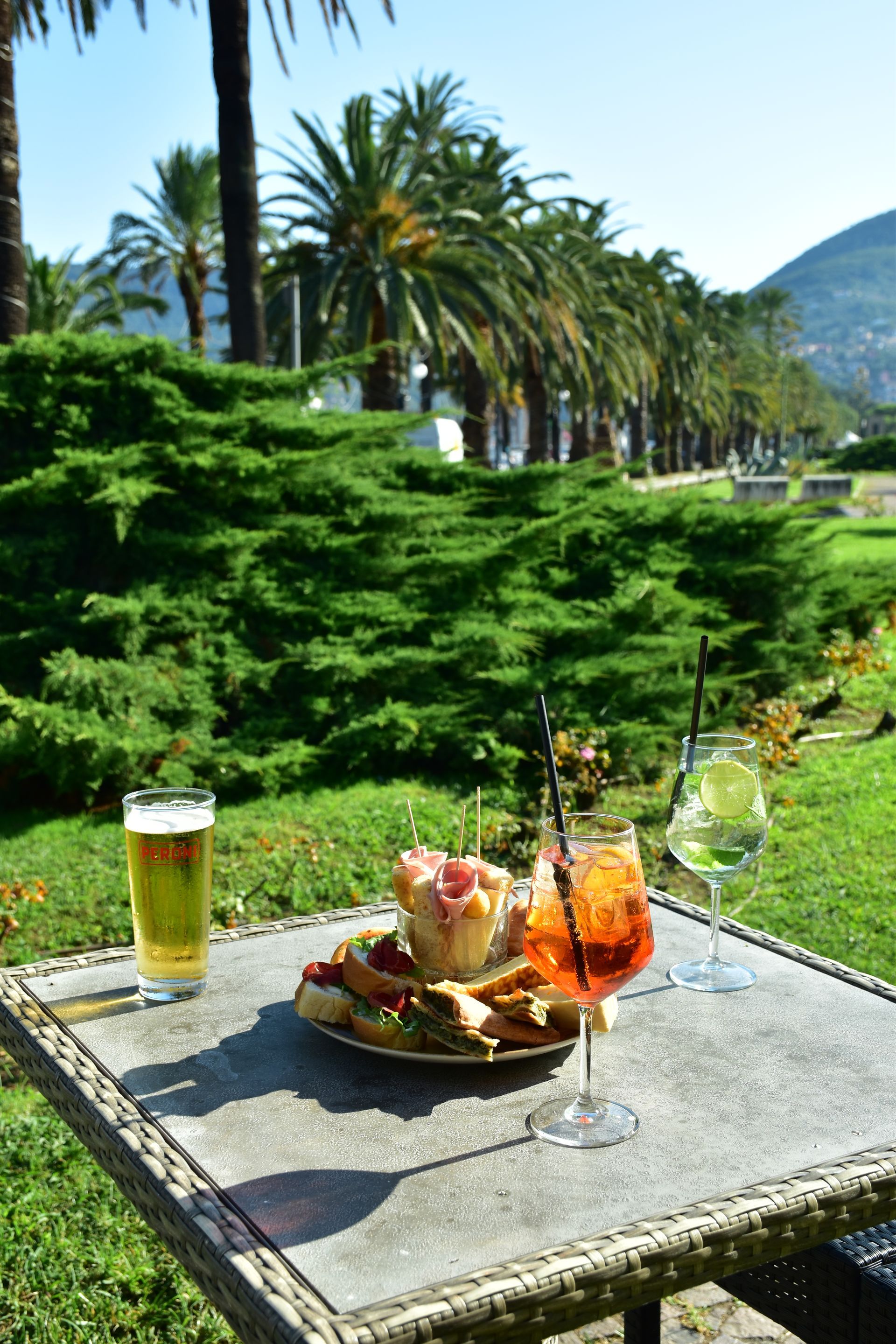 Bevande e snack su un tavolo in un giardino con palme e verde.