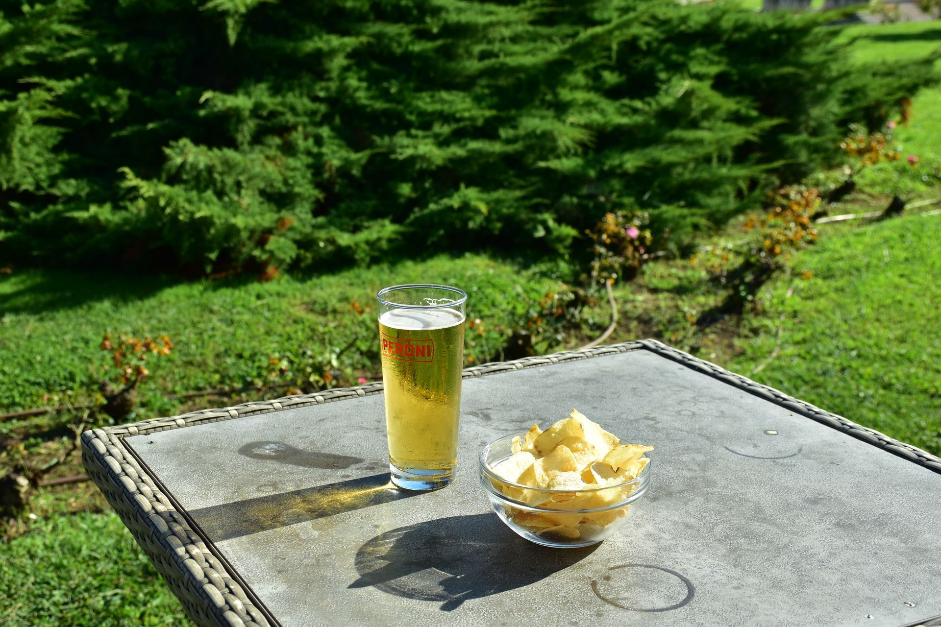 Un bicchiere di birra e una ciotola di patatine su un tavolo all'aperto, con erba verde e alberi sullo sfondo.
