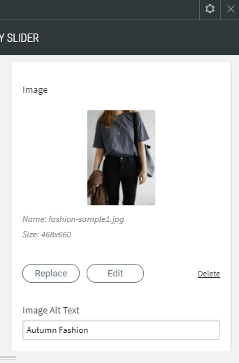 gallery slider widget