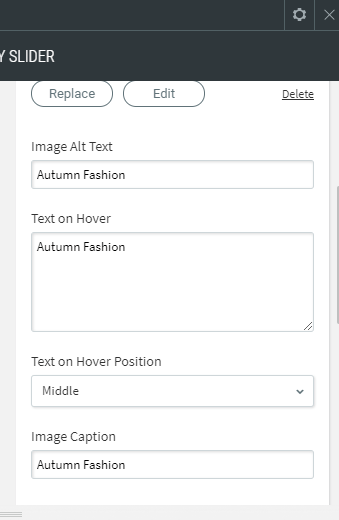 gallery slider widget