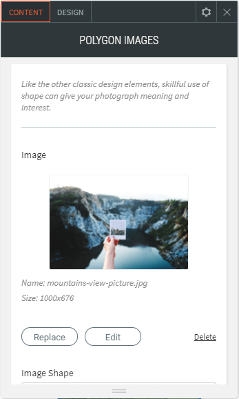 polygonal image widget