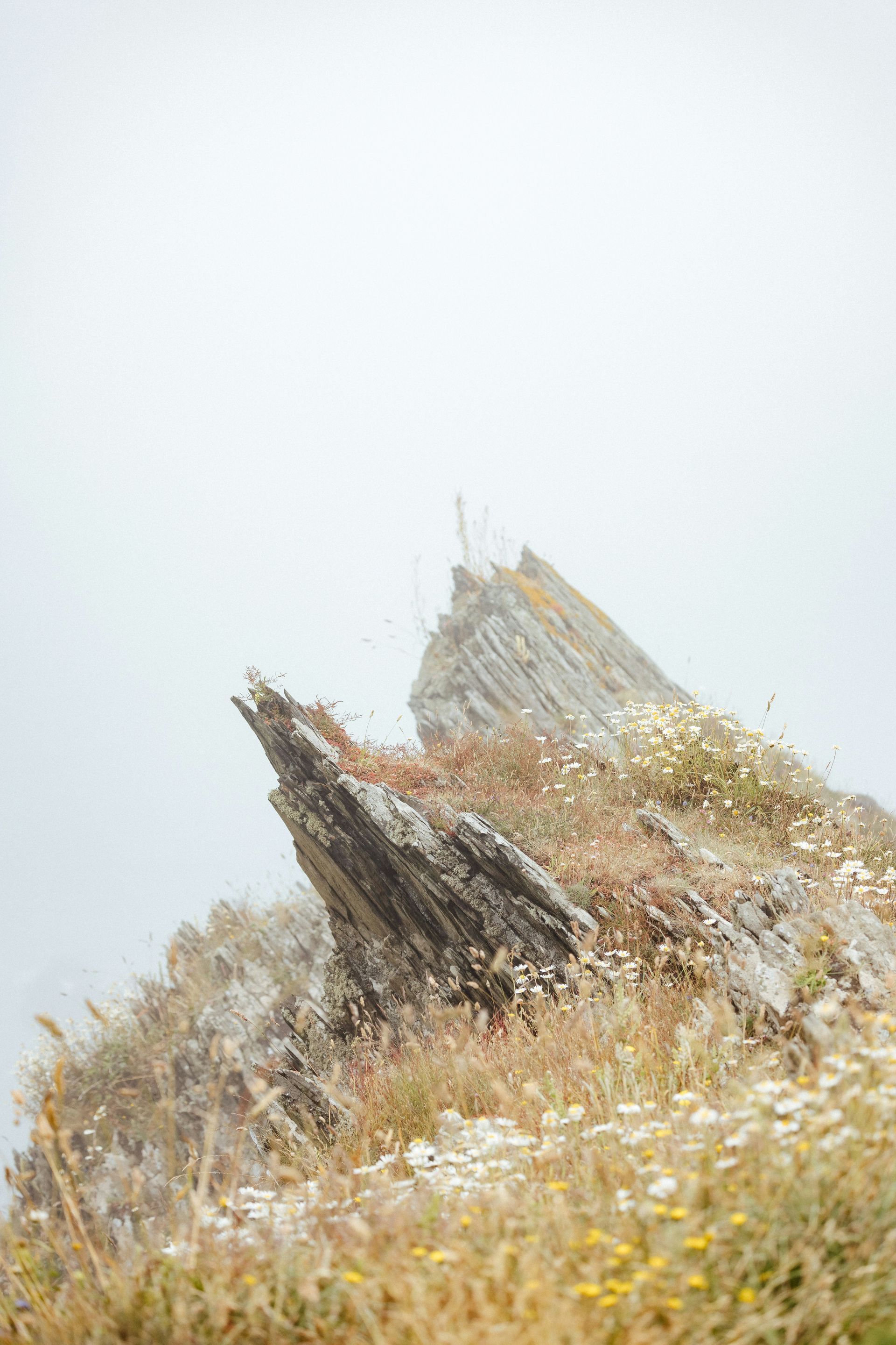 Rocky outcropping with wildflowers, shrouded in fog.