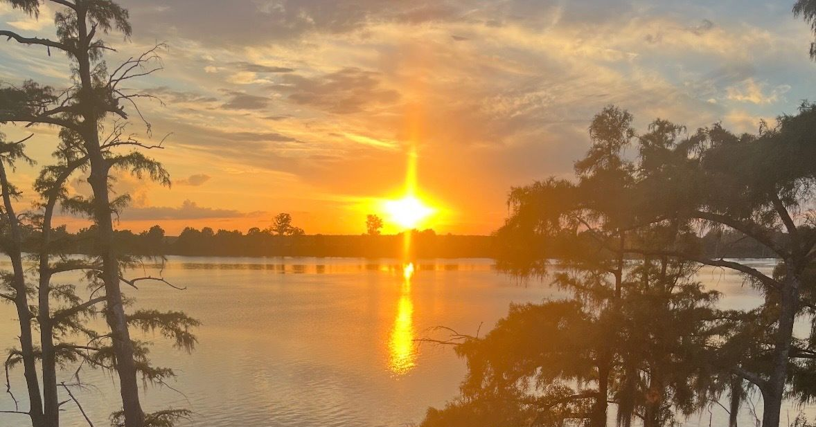 Sunset over calm water, reflecting golden light. Silhouetted trees frame the view.
