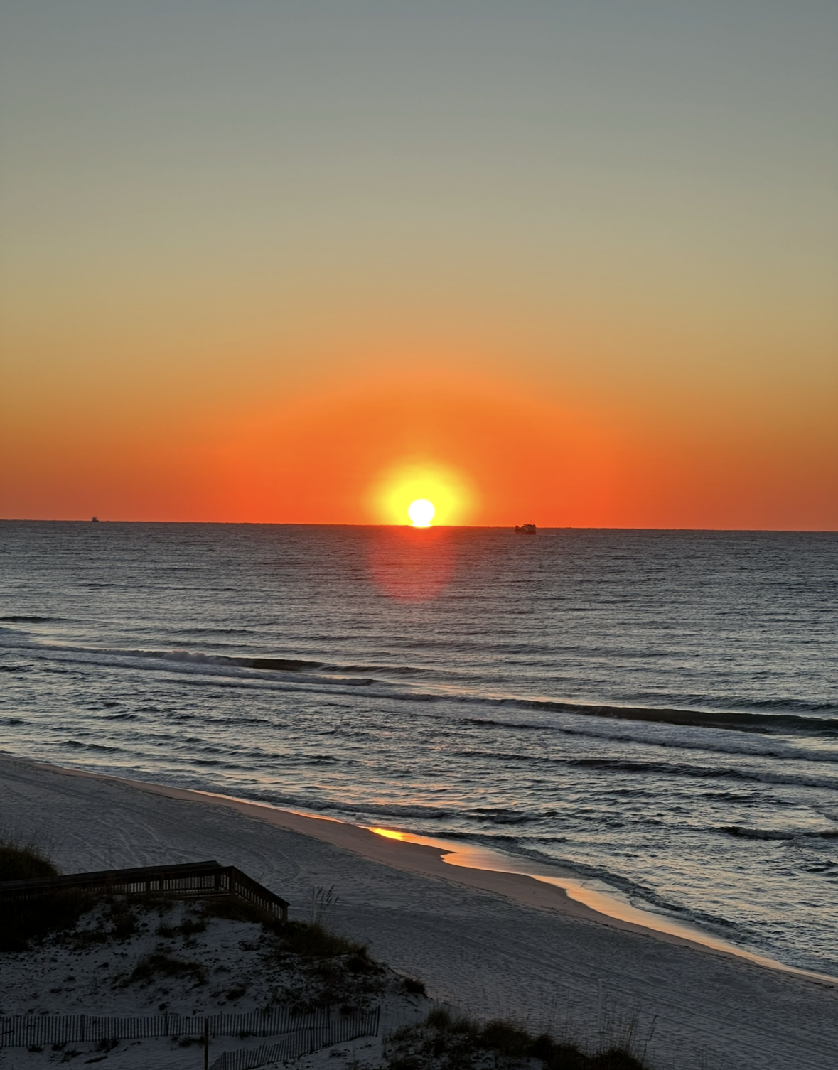 Elderly couple walking on a grassy park path, man holding bicycle.
