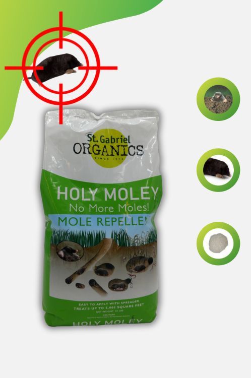 A bag of holy moley no more moles mole repellent