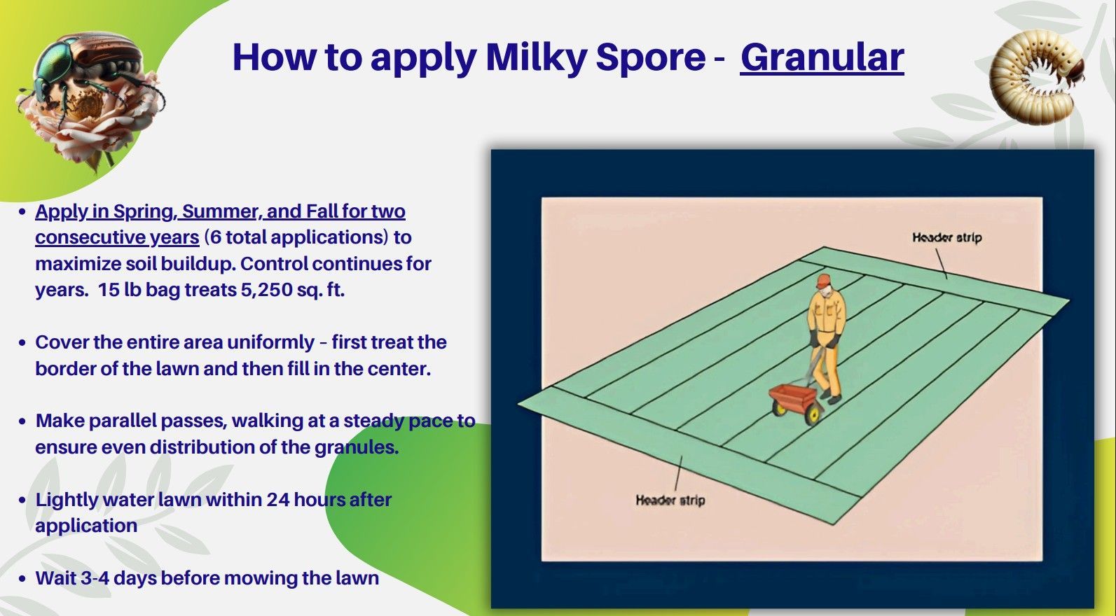 A bag of milky spore granular grub control