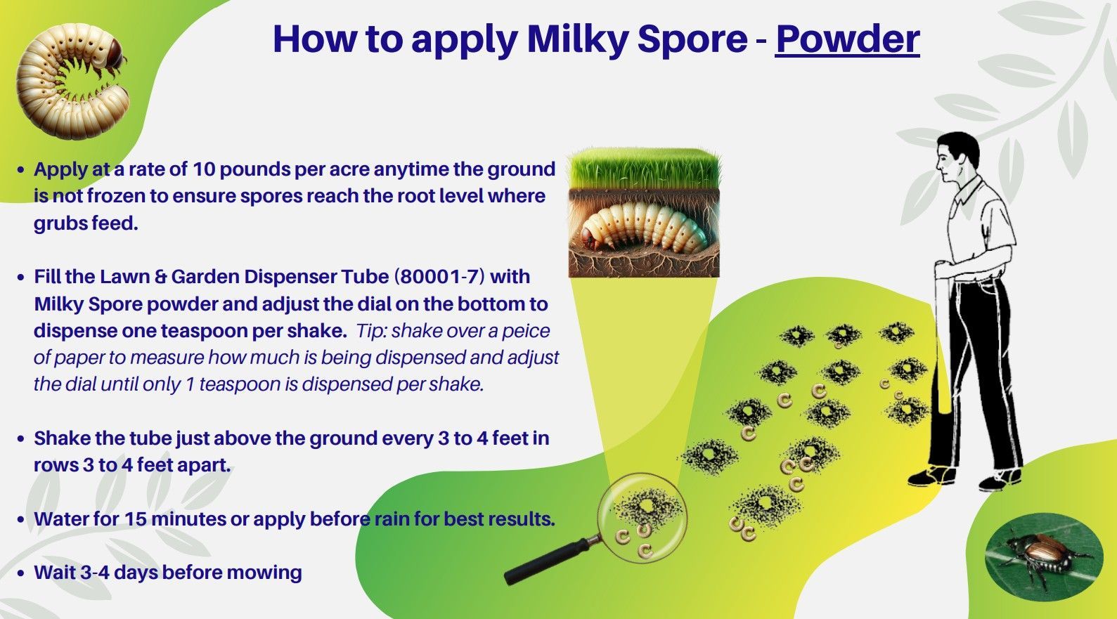 A bag of milky spore granular grub control