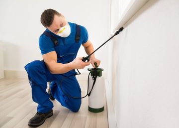 Exterminator — Worker Spraying Pesticide On Window Corner in Plaistow, NH