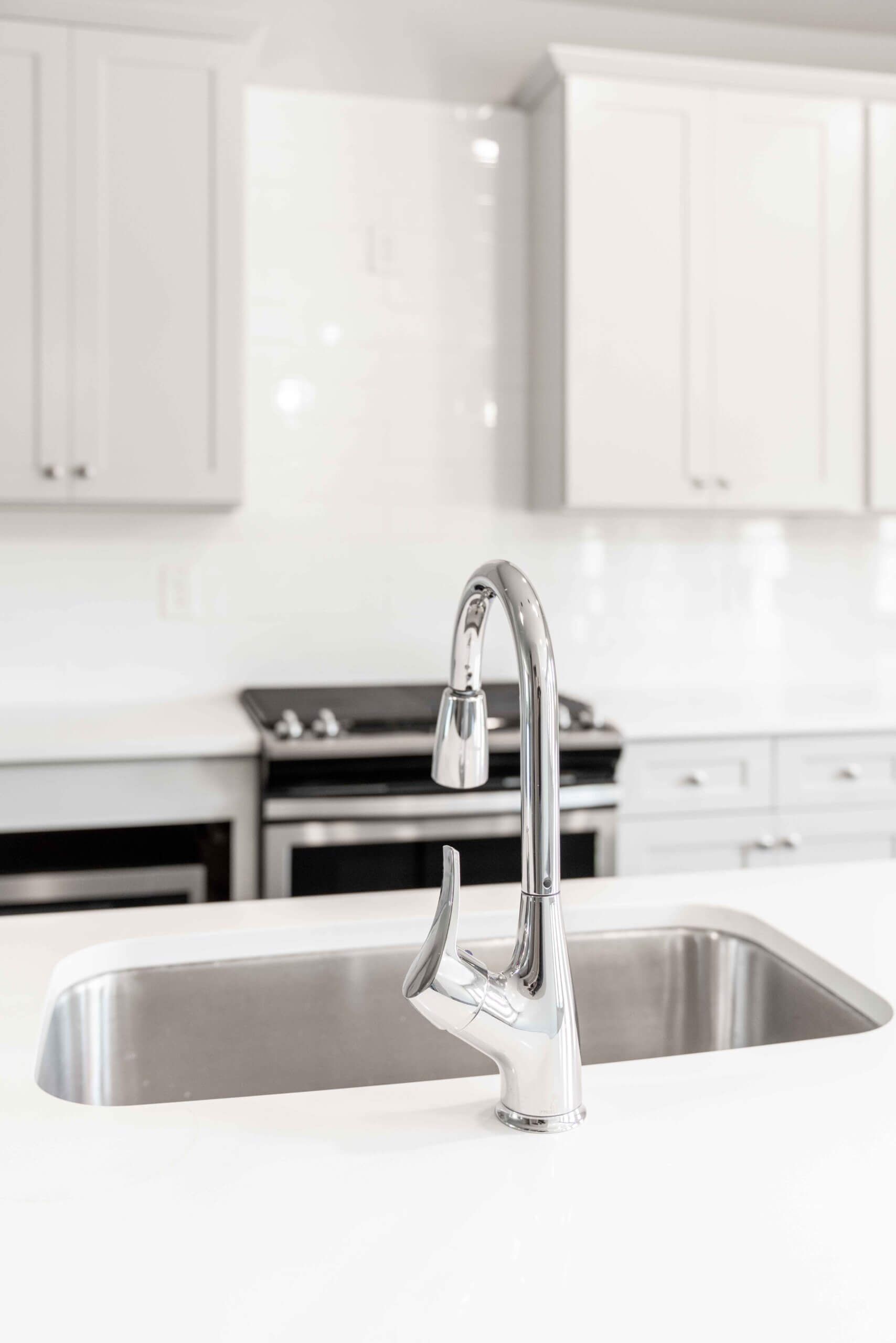 Photograph-Wooland Pointe-Kitchen