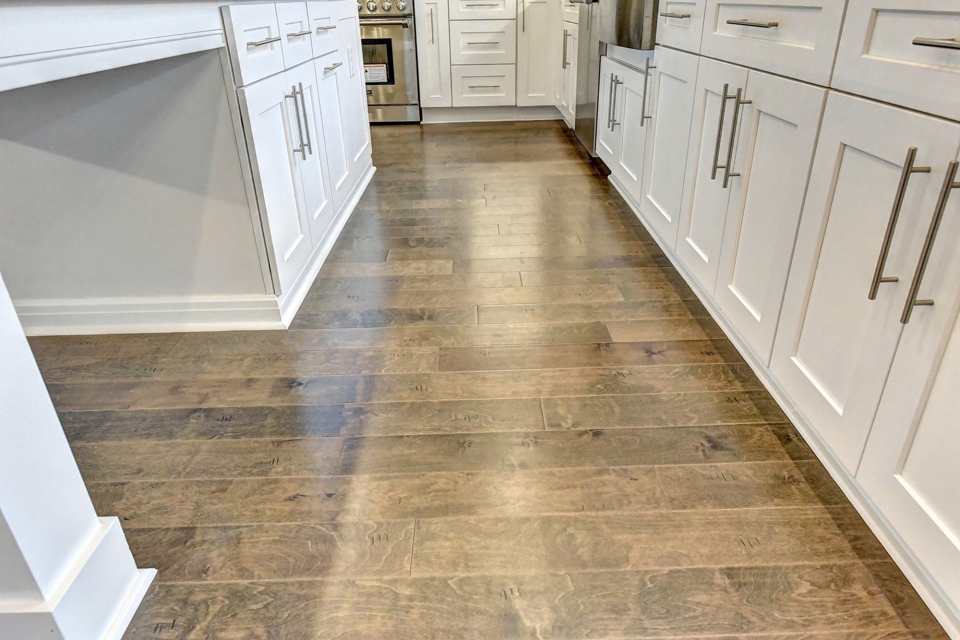 Photograph-Ebenezer pond-floor