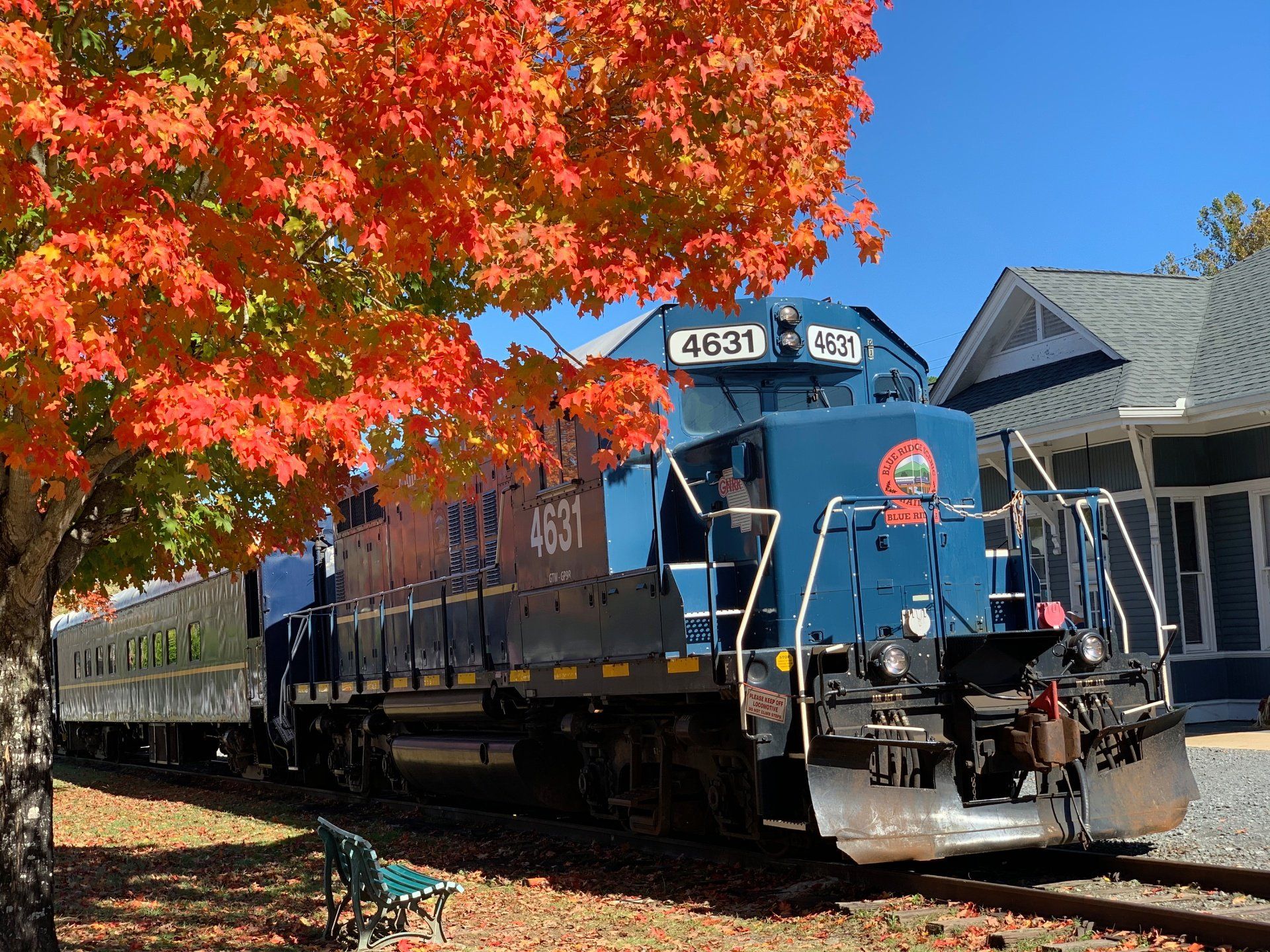Photograph-Victoria Oaks