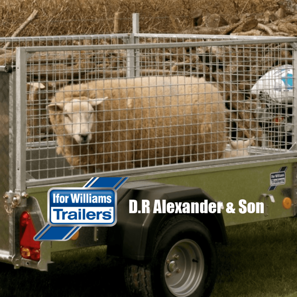 D.R Alexander and Son