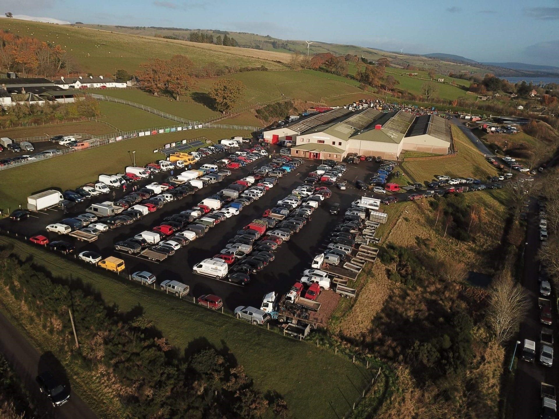 Dingwall HIghland Marts Your Local Livestock Sales